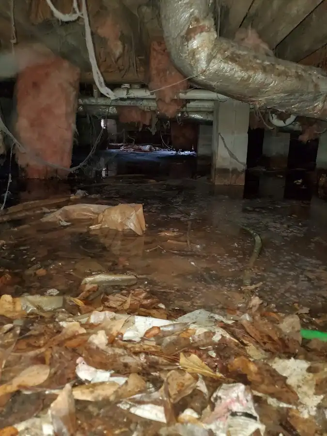 Crawl space flood assessment for Leak Detection & Repair in Noblesville