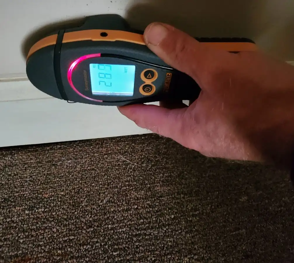 Moisture detection at baseboard during Sewage Cleanup & Sanitation in Noblesville